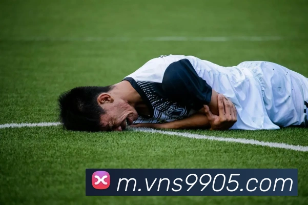 威尼斯人在线网站服务体系
